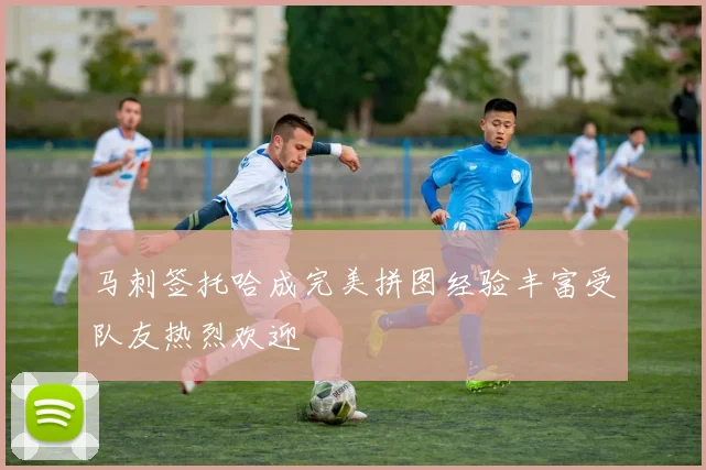 马刺签托哈成完美拼图经验丰富受队友热烈欢迎